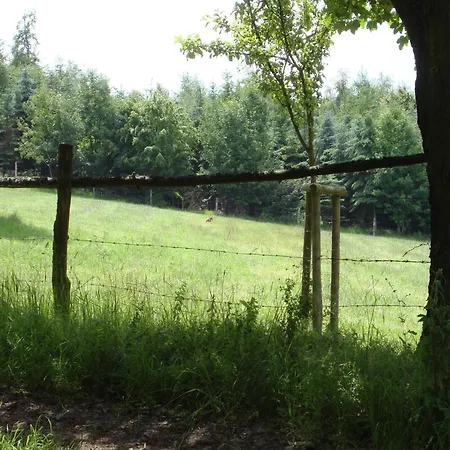 Holiday home Cosy In Near Centre Hallenberg